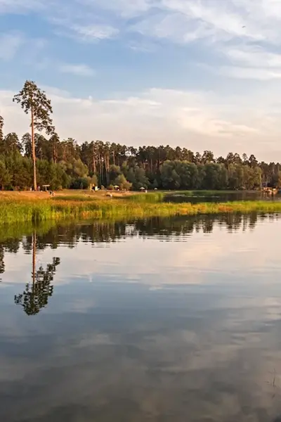 Лебяжье озеро Казань