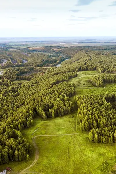 Лесное хозяйство Тюменской области