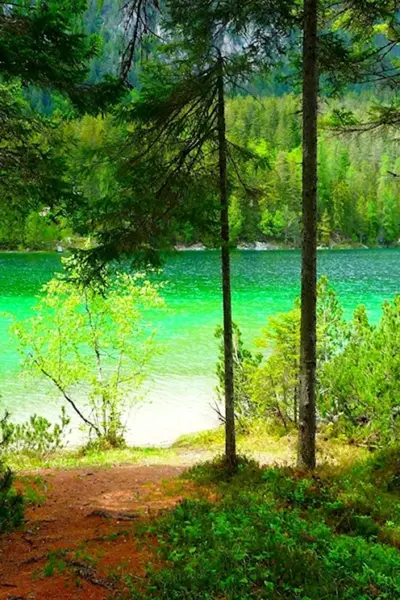 Лесное озеро Forest Lake