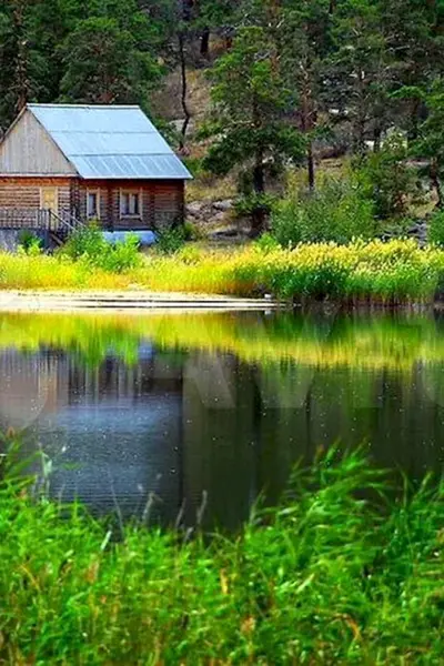 Лесной дом лесника