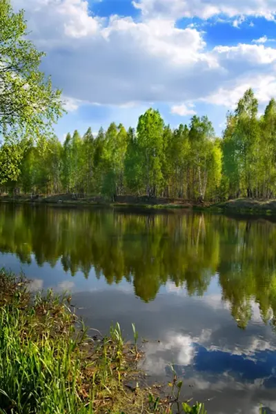 Лесные озёра средней полосы России