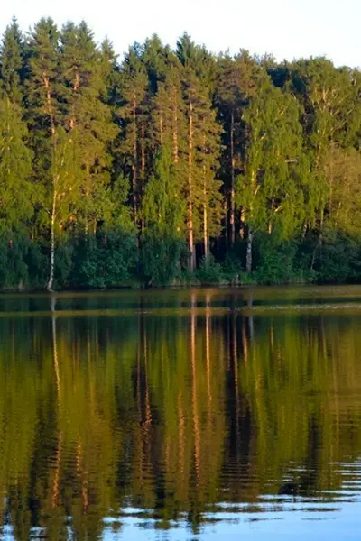 Луковое озеро Ногинск