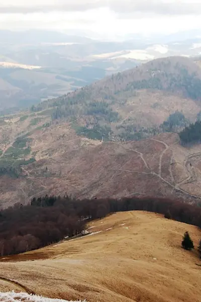 Лысая гора Карпаты