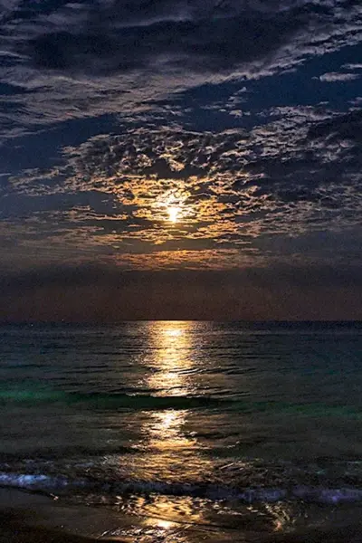 Ночное море