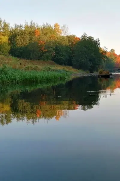 Оредеж Сиверская рыбалка