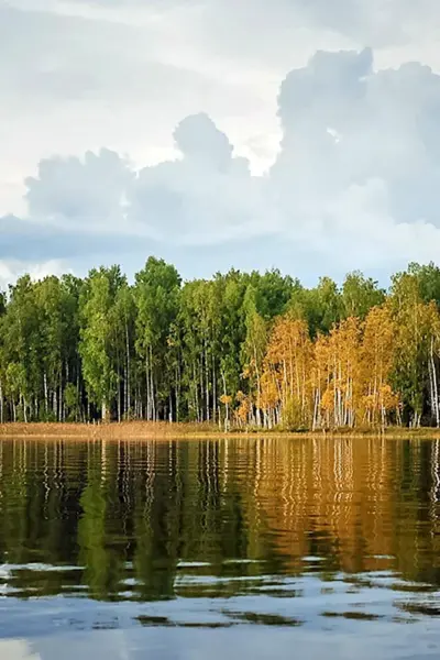Озеро вельё Валдай