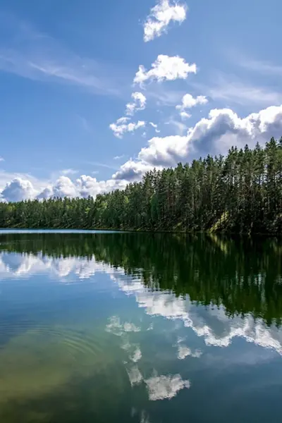 Озеро Зеленец Себежский район