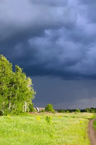 Перед грозой