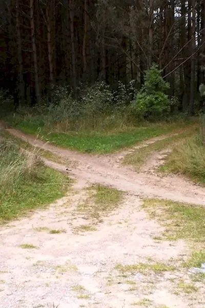 Перекресток дорог в лесу