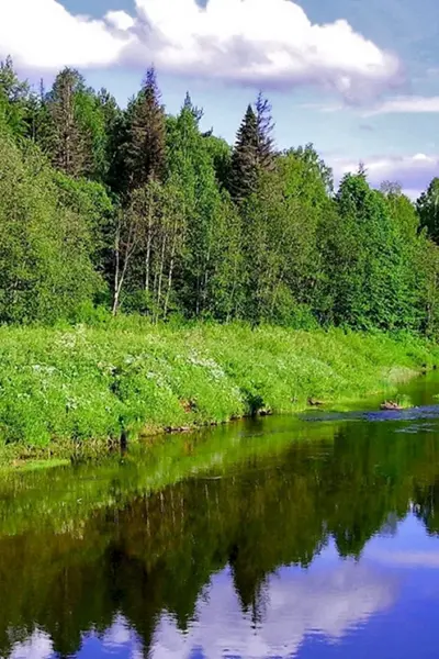 Природа лес река