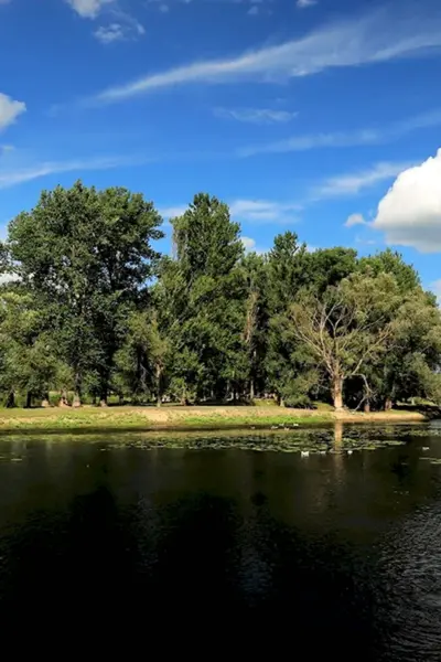 Речка Сейм Курск