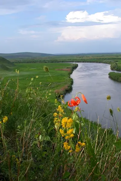 Река Аргунь в Забайкалье