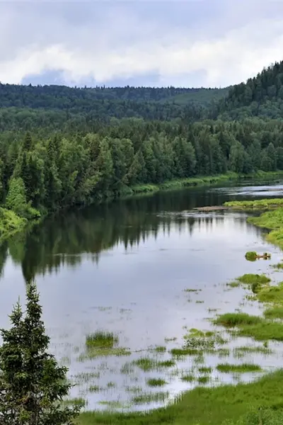 Река Колва Пермский край