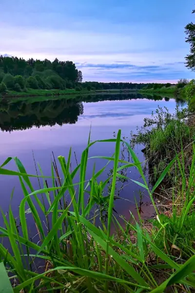 Река Мста Боровичи