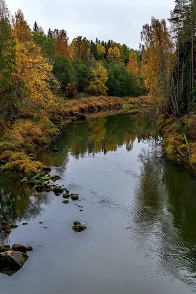 Река Плюсса Псковская область