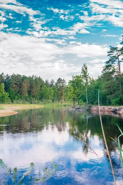 Река пра Окский заповедник