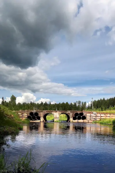 Река Рыбежка Тихвинский район