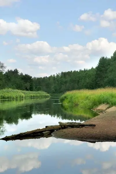 Река Сясь Ленинградская область Исток