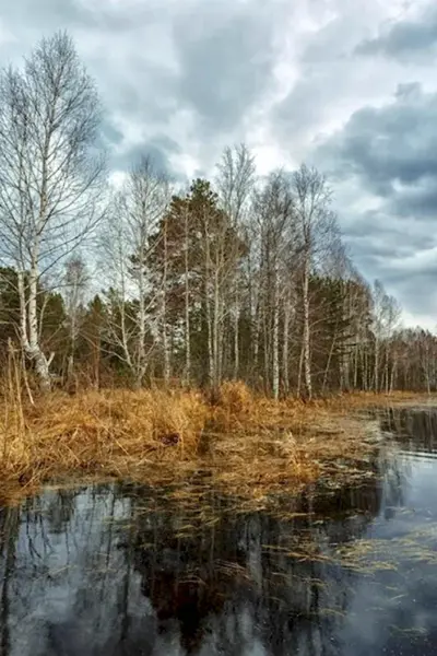 Реки с весенним половодьем