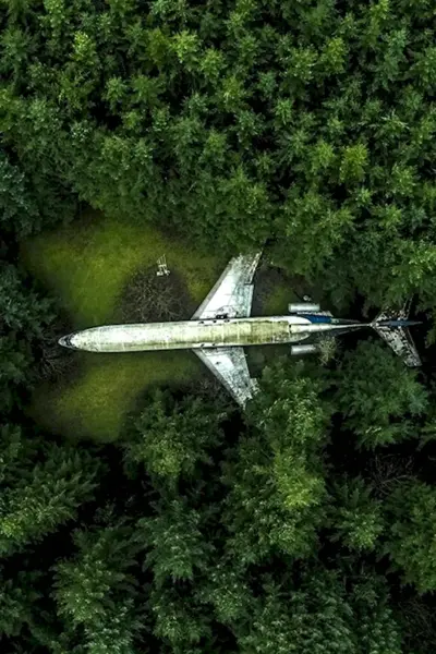 Самолет в лесу