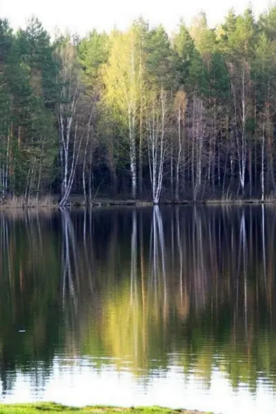 Серебряное озеро Псков