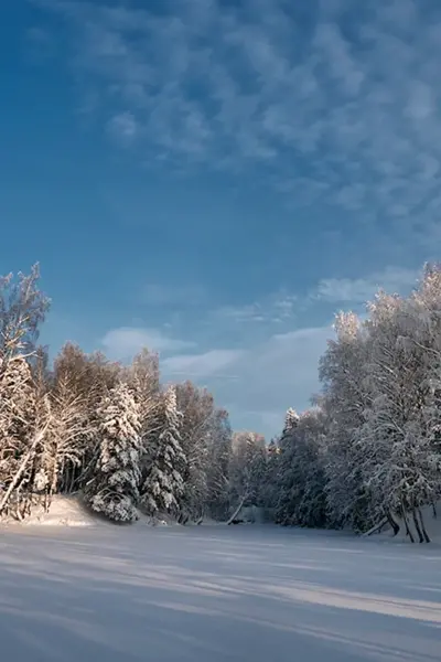 Сертолово зима