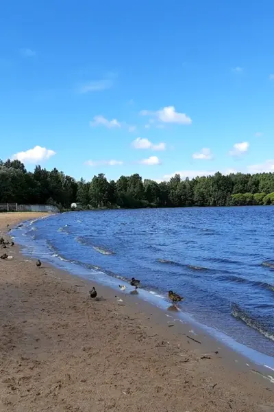 Сестрорецк озеро