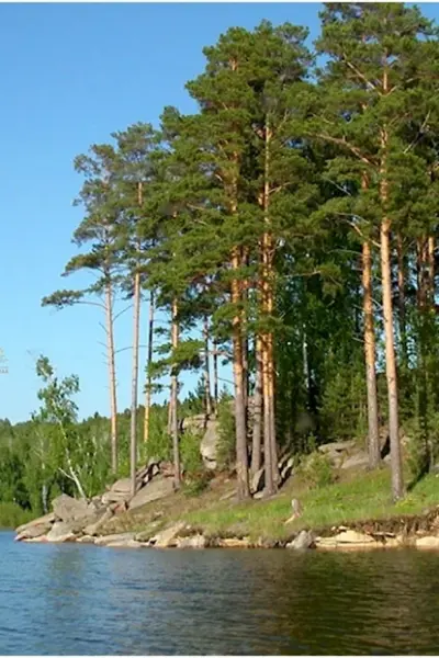 Сосновый Бор Подмосковье водохранилище