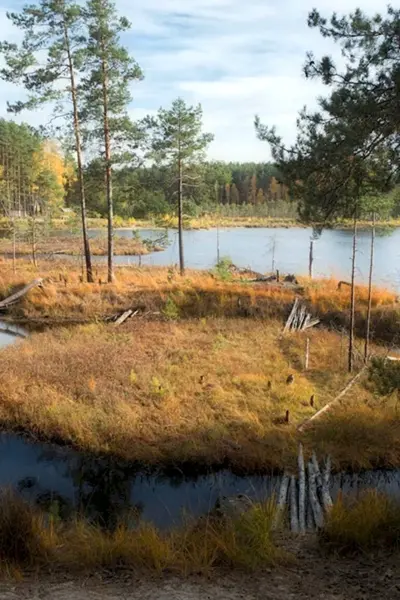 Светлые озера Фролищи Нижегородская