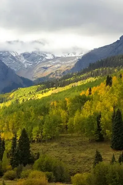 Тюрингский лес