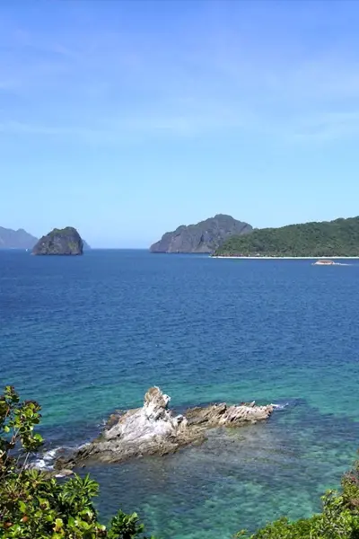 Восточно китайское и Южно китайское море