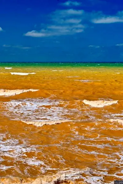 Желтое море Китай