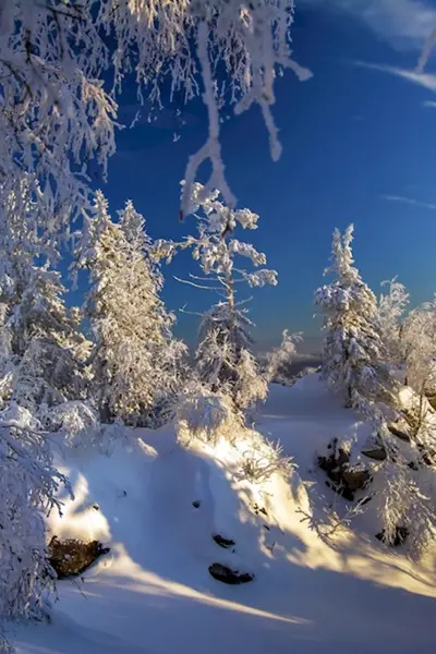 Зимний пейзаж